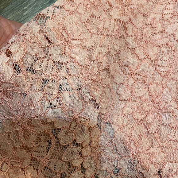 Aritzia Babaton pink lace midi skirt - Picture 3 of 12